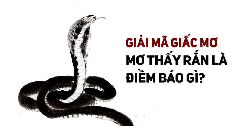 Mơ thấy rắn đánh con gì? Giải mã giấc mơ thấy rắn tại xổ số OK9 1 giải mã ý nghĩa giấc mơ thấy rắn là điểm báo gì?