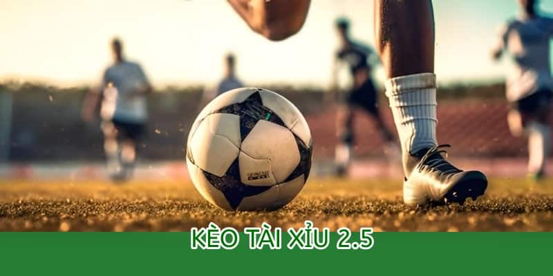 Cách đọc kèo Tài Xỉu 2.5 tại OK9 – Hướng dẫn chi tiết cho người mới 2 kèo tài xỉu 2.5